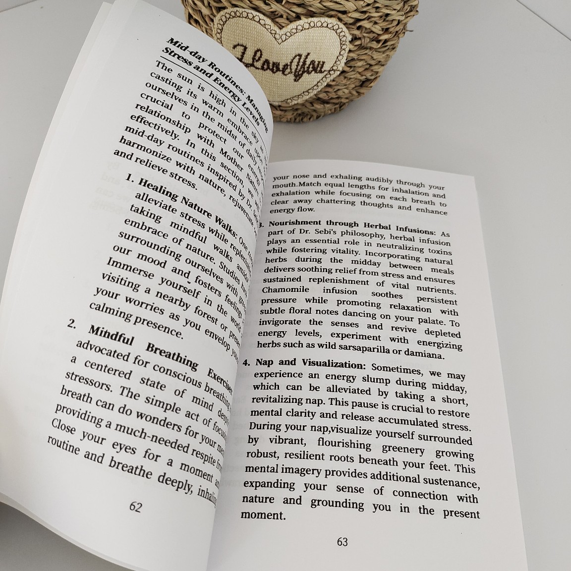 Cross-Border Popular Drsebimucuscleanse28Day Dr. Sebi Bible