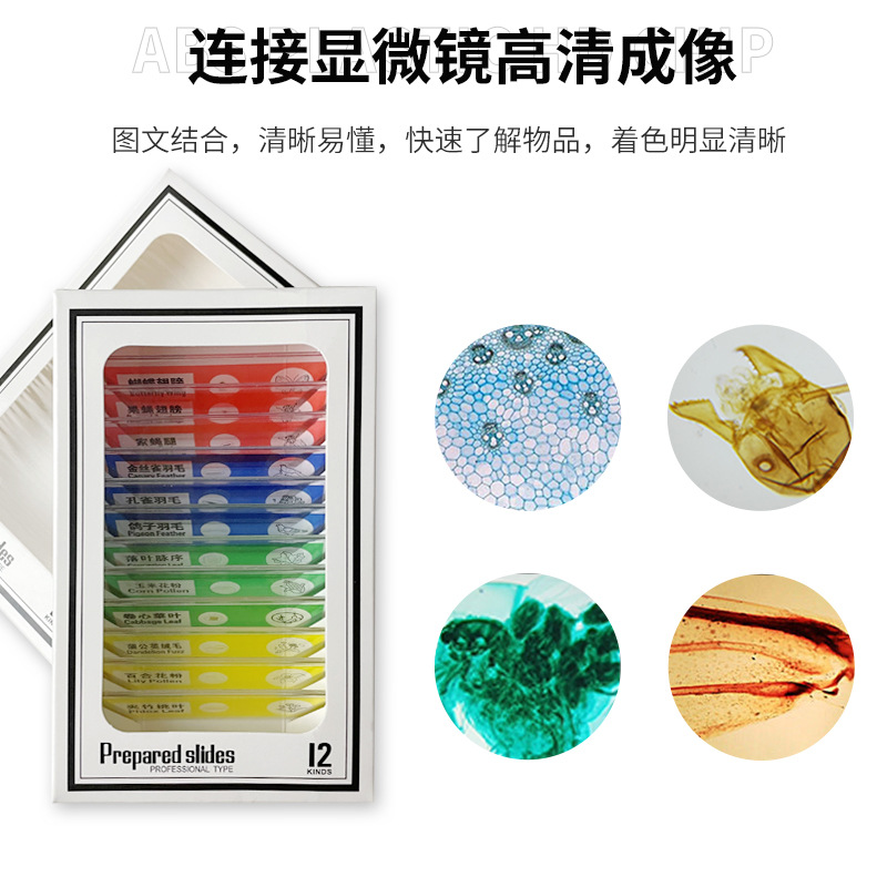 Portable microscope plastic specimen children's experimental biological slide specimen slice bilingual