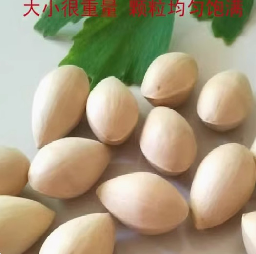 Fresh white fruit ginkgo fruit 2 jin (quality and quantity) fresh white fruit kernel ginkgo with shell without bleaching