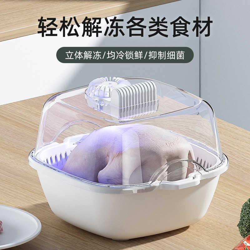 Thawing Artifact Fast Thawing Machine Household Food Preservation Freezing Machine Intelligent Constant Temperature Frozen Meat Fast Thawing Machine