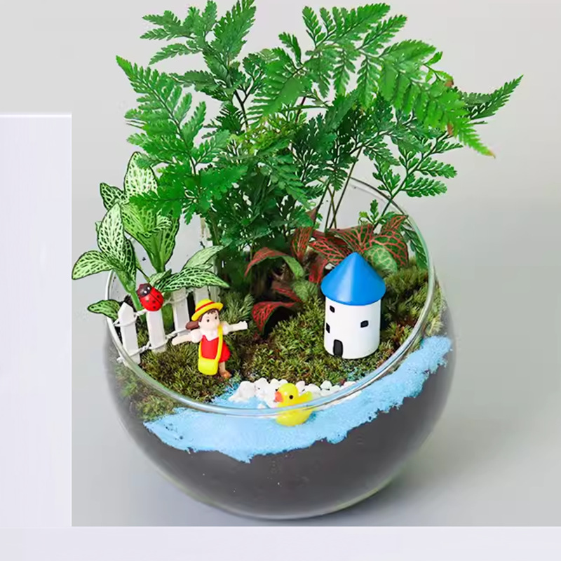 Moss Succulent Micro Landscape DIY Material Package Incision Glass Ball Ecological Bottle Ornament Gift Set Micro