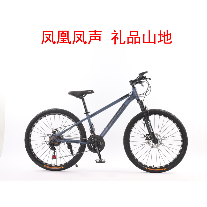 Оптовая продажа горного велосипеда Shanghai Phoenix с переменной скоростью для взрослых, 26/24 дюйма, для бездорожья, подарок на банк