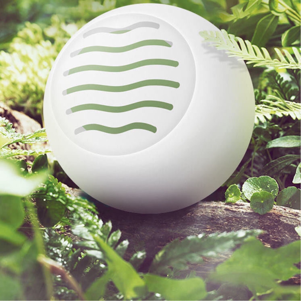 Shoes and Socks Deodorizing Sneaker Cabinet Deodorizing Artifact Air Solid Freshener Indoor Deodorizing Sneaker Deodorizing Ball