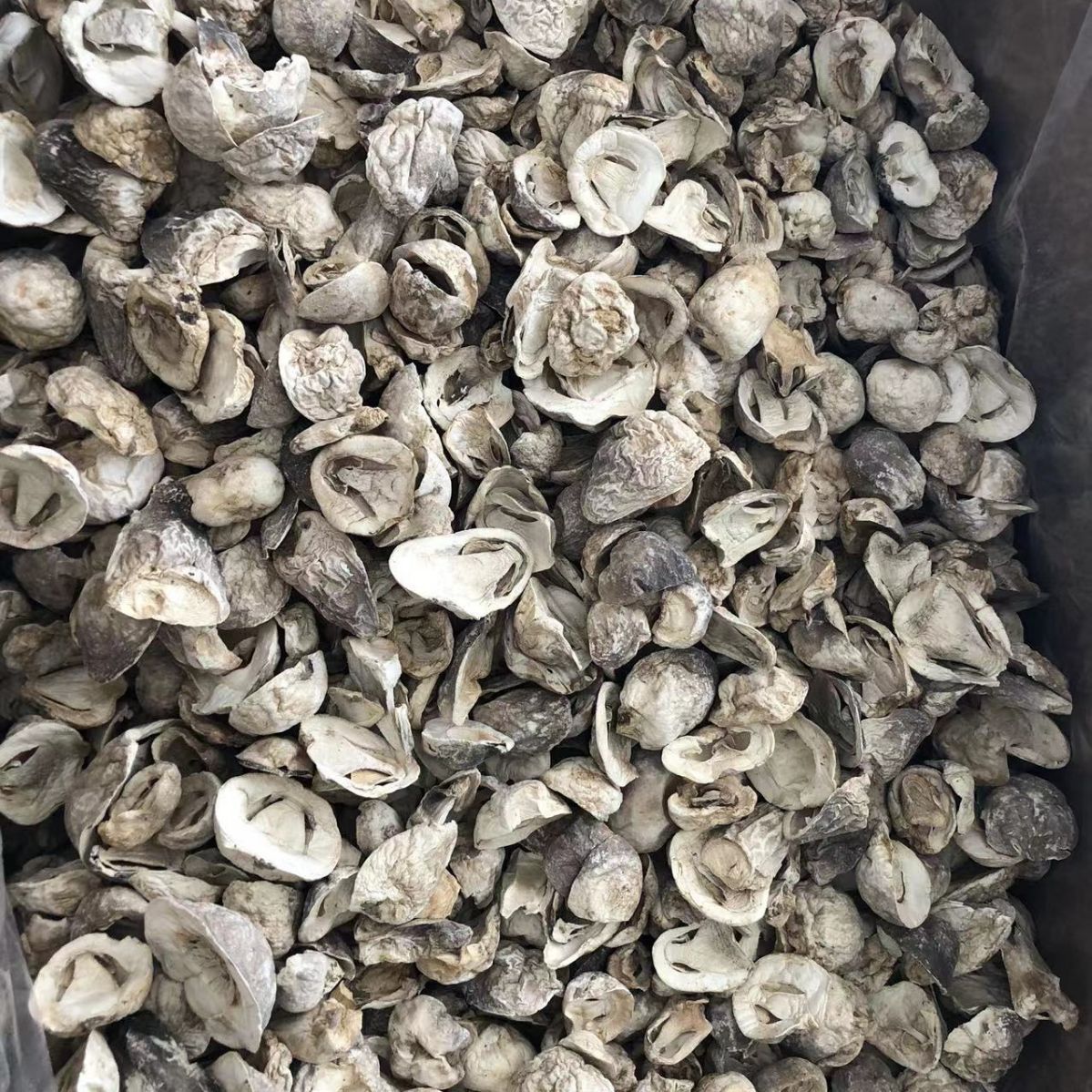 Gutian specialty Straw Mushroom Mushroom mushroom orchid mushroom meat crisp and tender taste delicious dried straw mushroom new goods wholesale