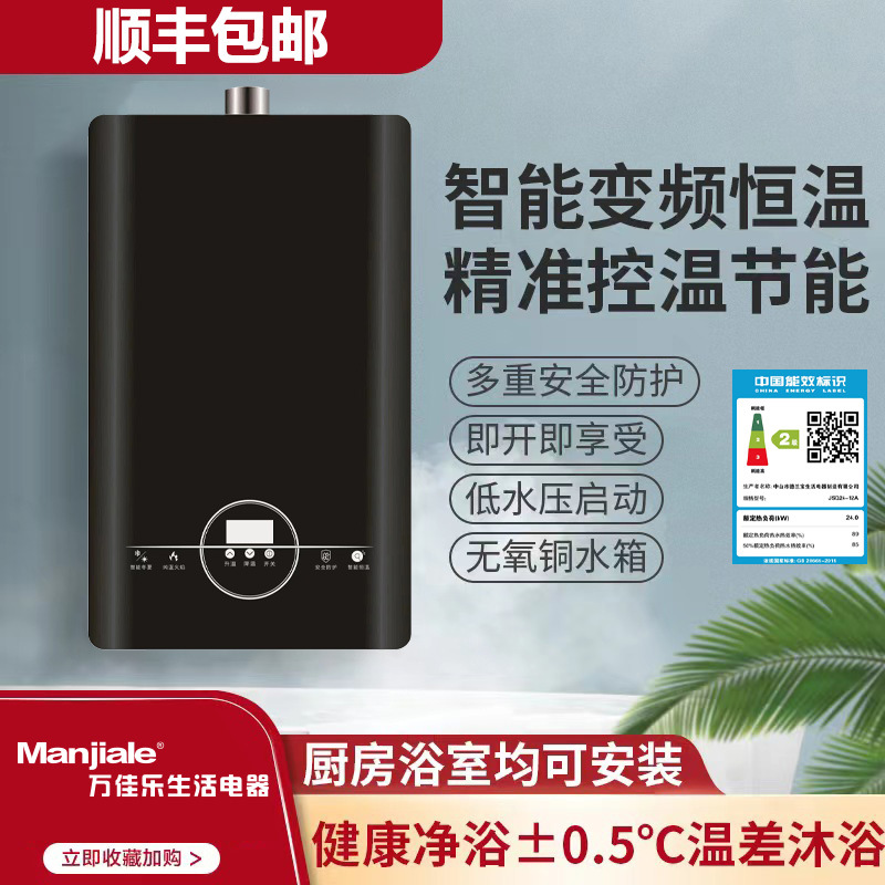 Wanjiile Life Gas Natural Gas Liquefied Petroleum Gas Gas Water Heater Plug-In Forced Exhaust Constant Temperature 12 Liters