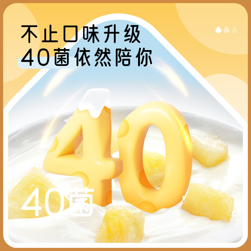 Chuanxiu cheese yogurt fermentation bacteria homemade wire drawing mushroom powder for yogurt special fermentation agent