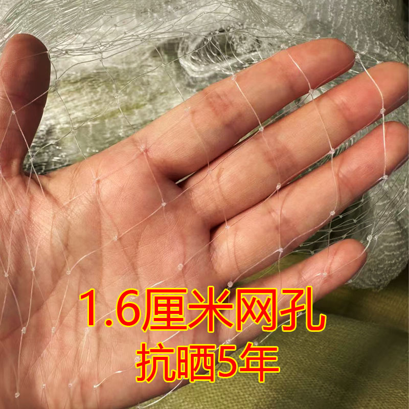 Small Mesh Bird-Proof Cover, Bird-Proof Net, Grape Orchard Hail-Proof Net, Blueberry Cherry, Jujube Fruit Nylon 1cm Mesh