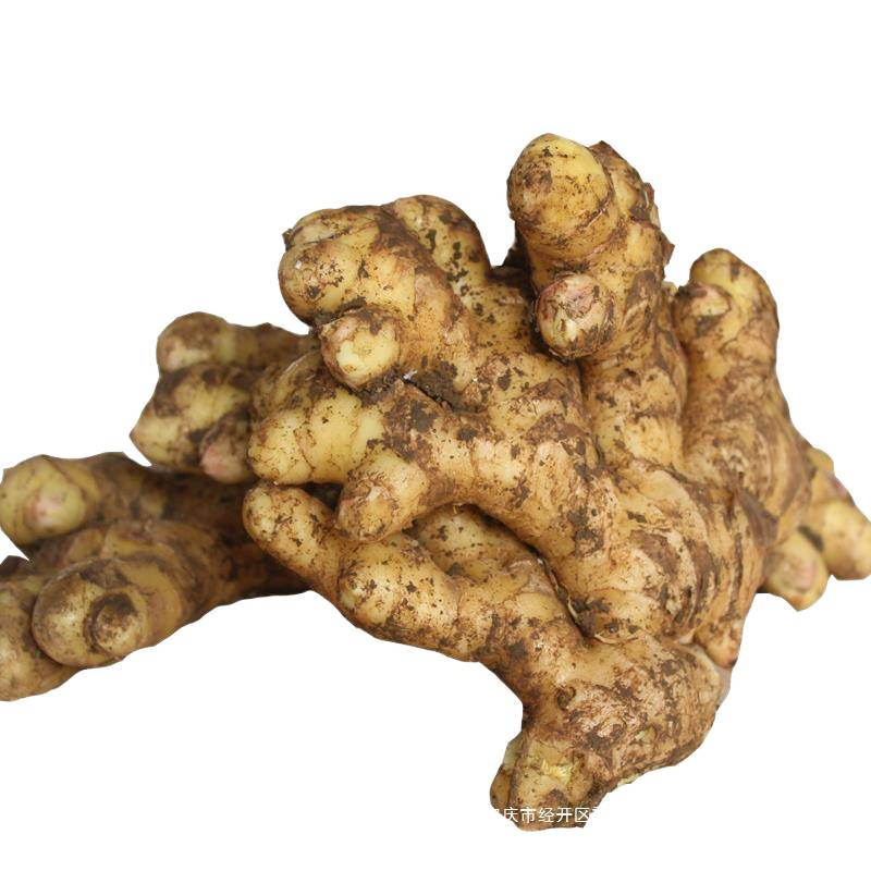 Fresh Seasonal Ginger from Jiangyunnan, Small Yellow Ginger, Farm Ginger, Earth Ginger, Postpartum Ginger, Old Ginger, Fresh Vegetables with Free Shipping Per Pound