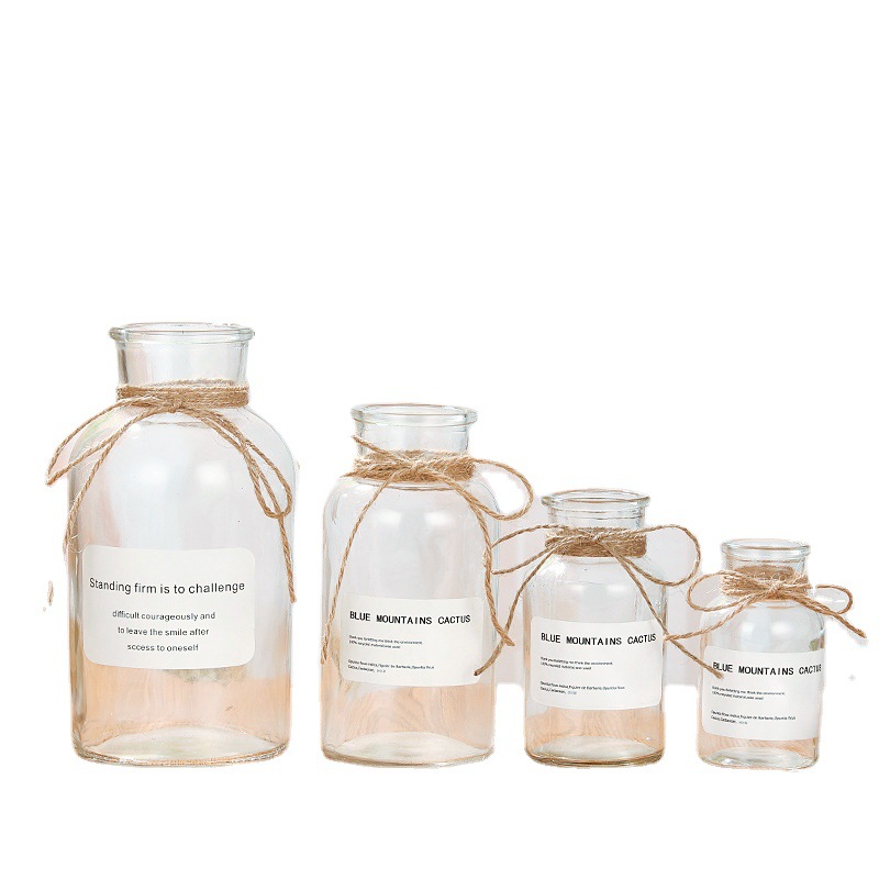 Customized Wholesale Glass Vases for Dried Flowers, Simulated European-Style Home Decorations, Brown Reagent Flowers