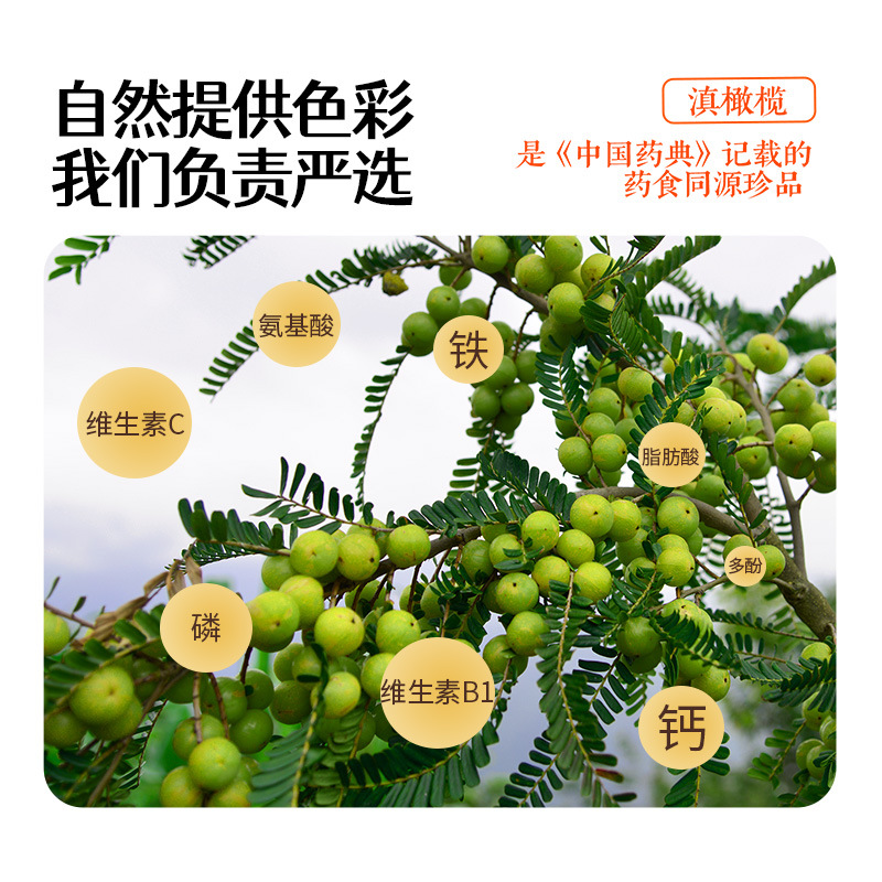Maoduoli Yumanyi Dian Olive Concentrate for Throat Clearing and Antioxidant Luckin Pain Mask Raw Material Supplier