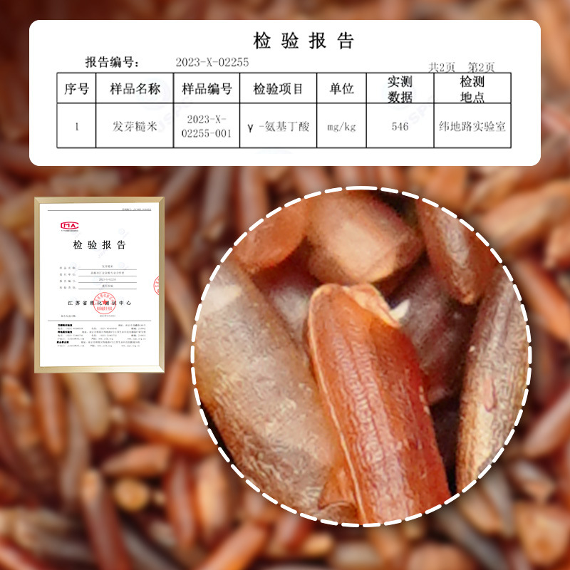 Sprouted Red Rice Germ Rice Whole Grains Sprouted Grains Brown Rice Black Rice Three-Color Rice Coarse Grains Can Be Processed into Powder