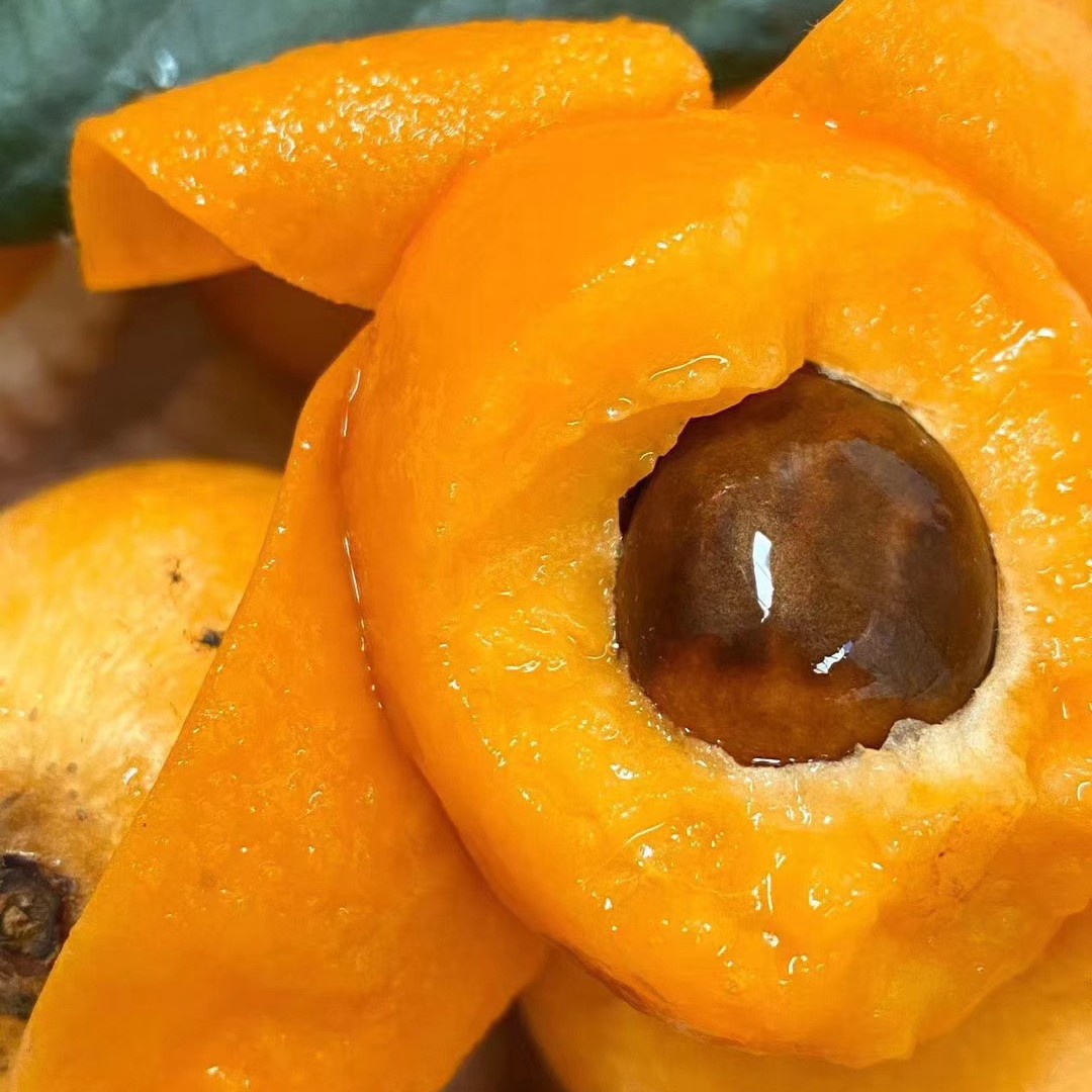 Fresh Sichuan Mi Yi Loquat in Season, Picked from High Mountain Trees, Premium Quality, Sweet and Juicy, Available for Dropshipping