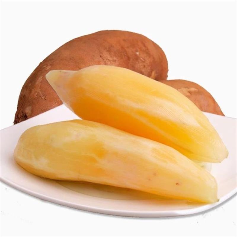 Yunnan Snow Lotus Root Seasonal Fruit Snow Lotus Root Free Shipping Fresh Fruit Snow Lotus Root Dropshipping