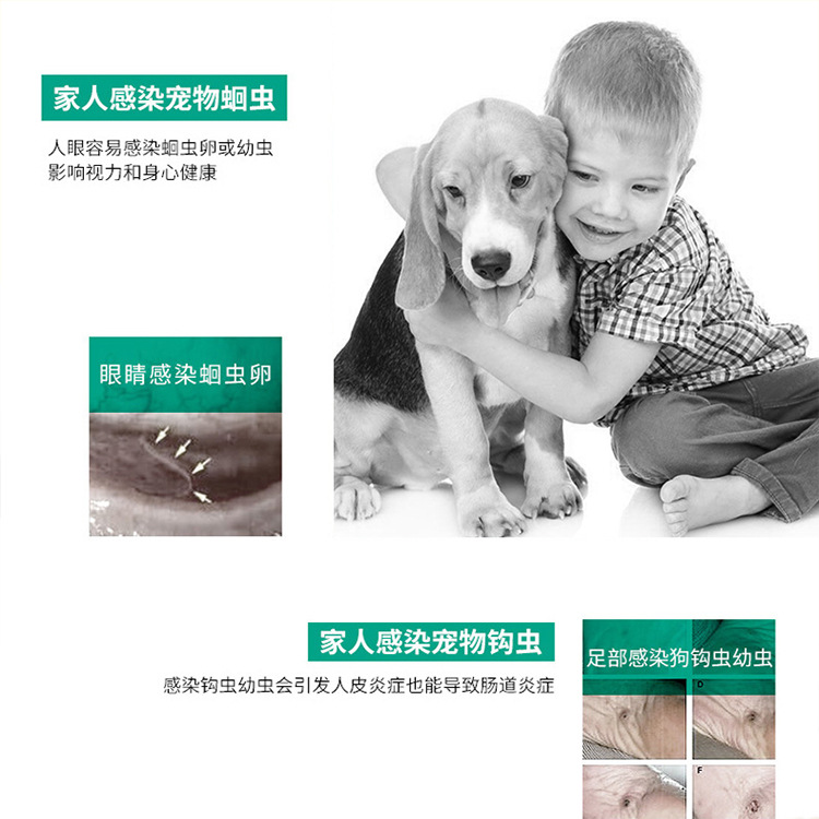 Pet Anthelmintic Drug Albendazole Tablets, 6 Tablets of Anthelmintic Drug for Dogs, Anthelmintic Drug for Cats, Pet Medicine