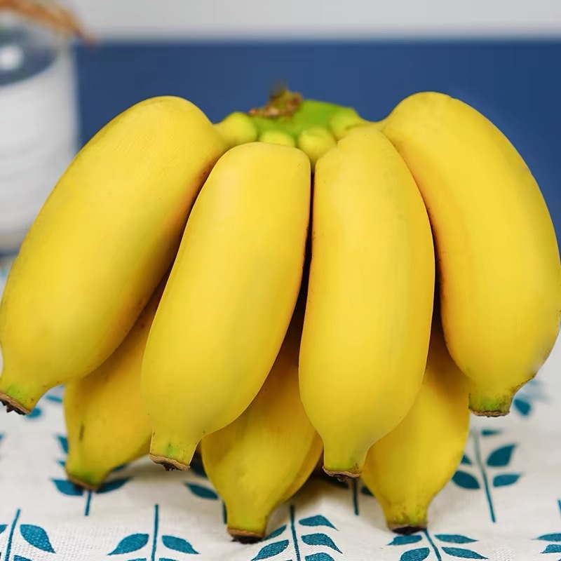 Guangxi fresh fruit millet banana seasonal fruit 4.50kg whole box postage non-apple banana banana a generation of hair