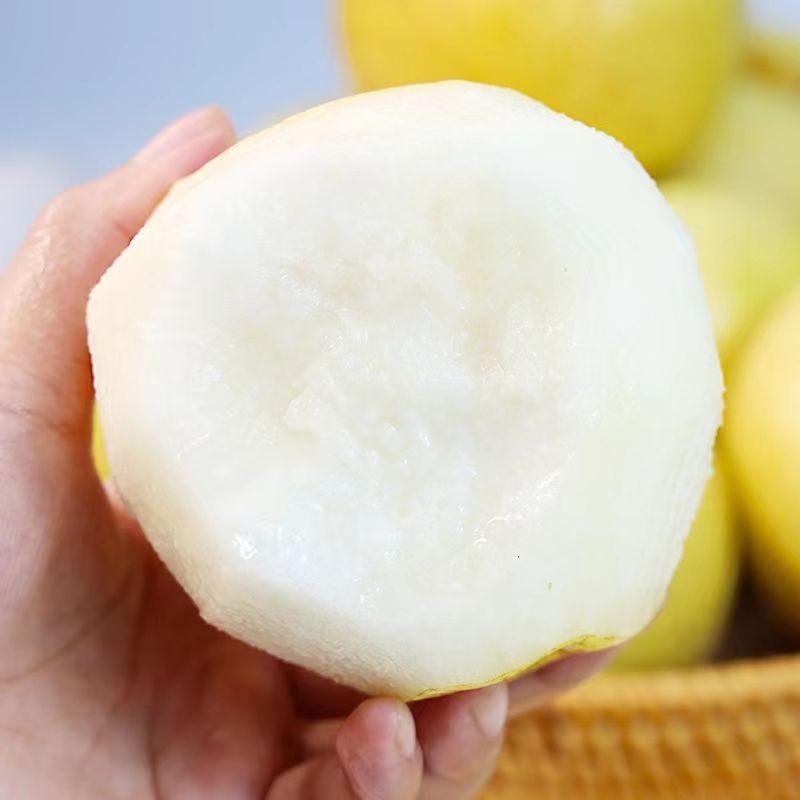 Authentic Qianxian Lihuo Crisp Pears from Shaanxi, Fresh Seasonal Fruit, Tribute Pears, Crisp, Sweet, Juicy, Direct from the Orchard