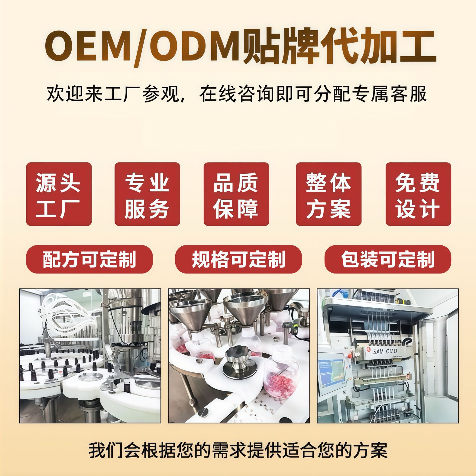 Probiotic B420 Probiotic 40 Billion Prebiotic Probiotic Powder Instant Solid Beverage Wholesale and Dropshipping