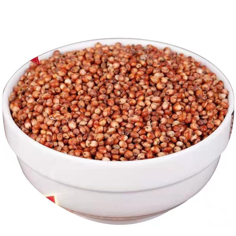 in stock waxy sorghum sorghum rice shelled and skinned sorghum red sorghum red sorghum for wine making in northeast red sorghum