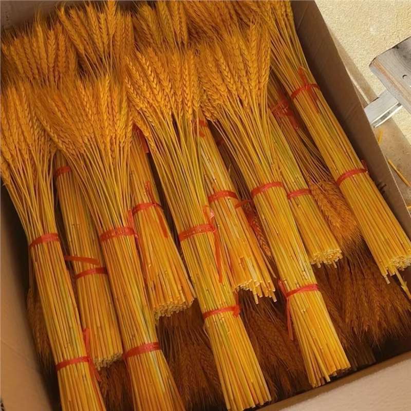 Factory direct opening barley flower basket natural gold wheat ear dried flower bouquet living room pastoral decoration ornaments