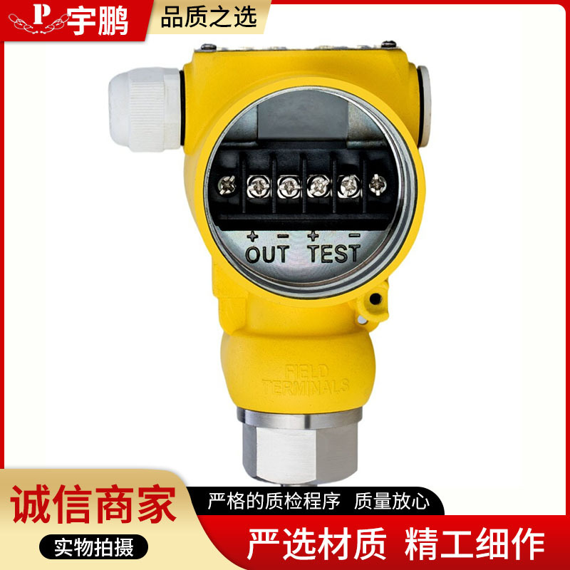 Professional manufacturer of temperature transmitter explosion-proof temperature transmitter digital display temperature transmitter