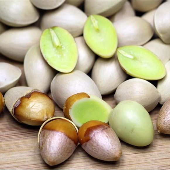 Семена гинкго с высоким уровнем всхожести, могут приносить значительную прибыль с акра. Также высококачественные и высокоурожайные для питомников.