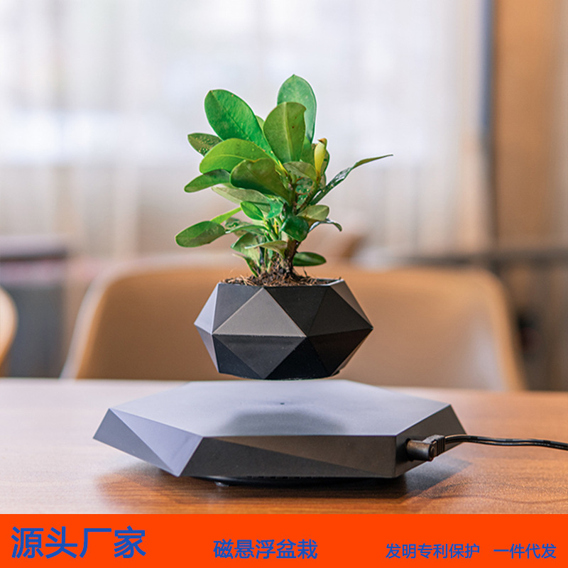 Магнитная левитация бонсай, креативные воздушные растения и цветы, уникальный стиль, декор для дома и офиса, кросс-граничные зеленые растения