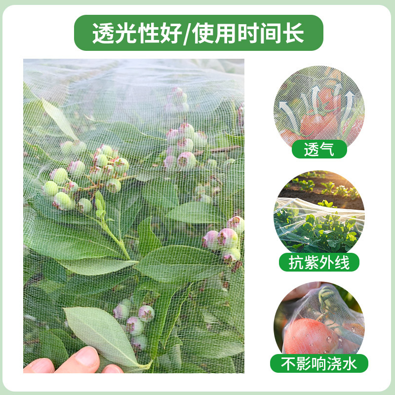 Full specification sliced insect-proof net cross-border vacuum with colored pages sticky edge insect-proof net Amazon export fruit tree insect-proof net