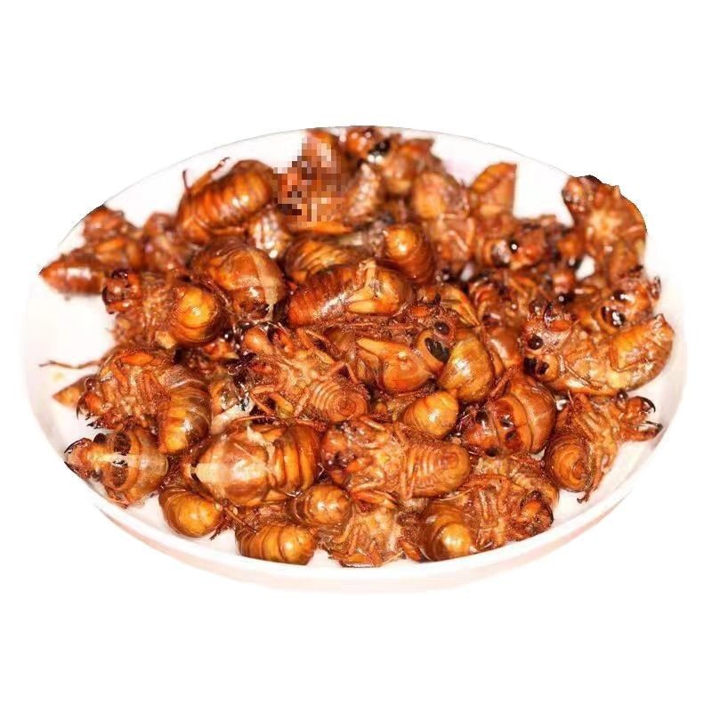 Fresh Live Praying Mantises, Quickly Frozen, Rural Freshly Caught Live Praying Mantises, 200 Pieces