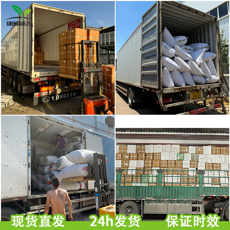 Shengu Rizhao Alpine Cloud Mist Green Tea Tea Wholesale Market Bulk 2025 New Tea Dangshan Stir-Fried Green Songyang Fragrance Tea