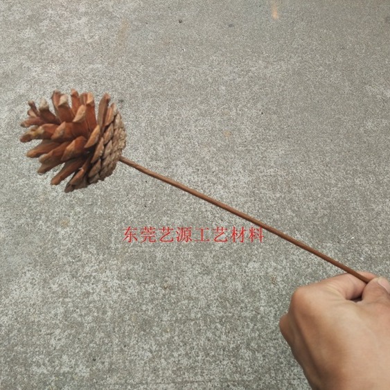 Wholesale Paper-Wrapped Flower Stems, Lotus Stems, Pine Cone Stems, Coffee-Colored Wire Stems, Artificial Flowers, Everlasting Dried Flower Stems