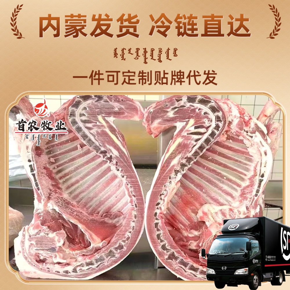 Jingxilin Grassland Sunite Lamb Bbq Ingredients Source Fresh Lamb Lamb Skewers Ximeng Lamb