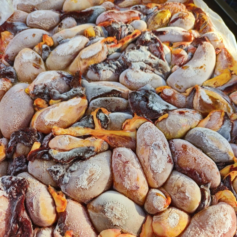 Оптовая продажа свежего свиного желчного пузыря