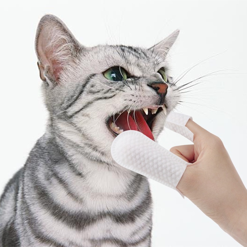 in stock disposable finger set pet tooth cleaning non-woven pet mouth tooth brushing pet products finger set
