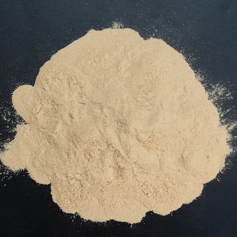 Yeast Extract Powder Biological Fermentation Raw Material Microbial Culture Medium Yeast Powder Yeast Extract Powder