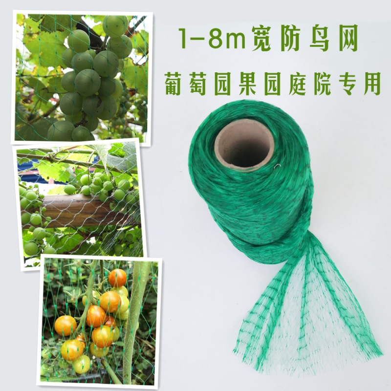 Bird-Proof Net Cross-Border Supply for Courtyard Grape Cherry Fruit Trees Green Black Polyethylene Factory Direct Sales Mesh