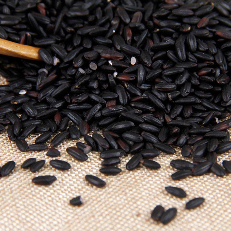 Supply of Five-Grain Freshly Ground Powder, Low-Temperature Baking Ingredients, Northeastern Black Fragrant Rice, Cooked Grains, Cooked Black Rice
