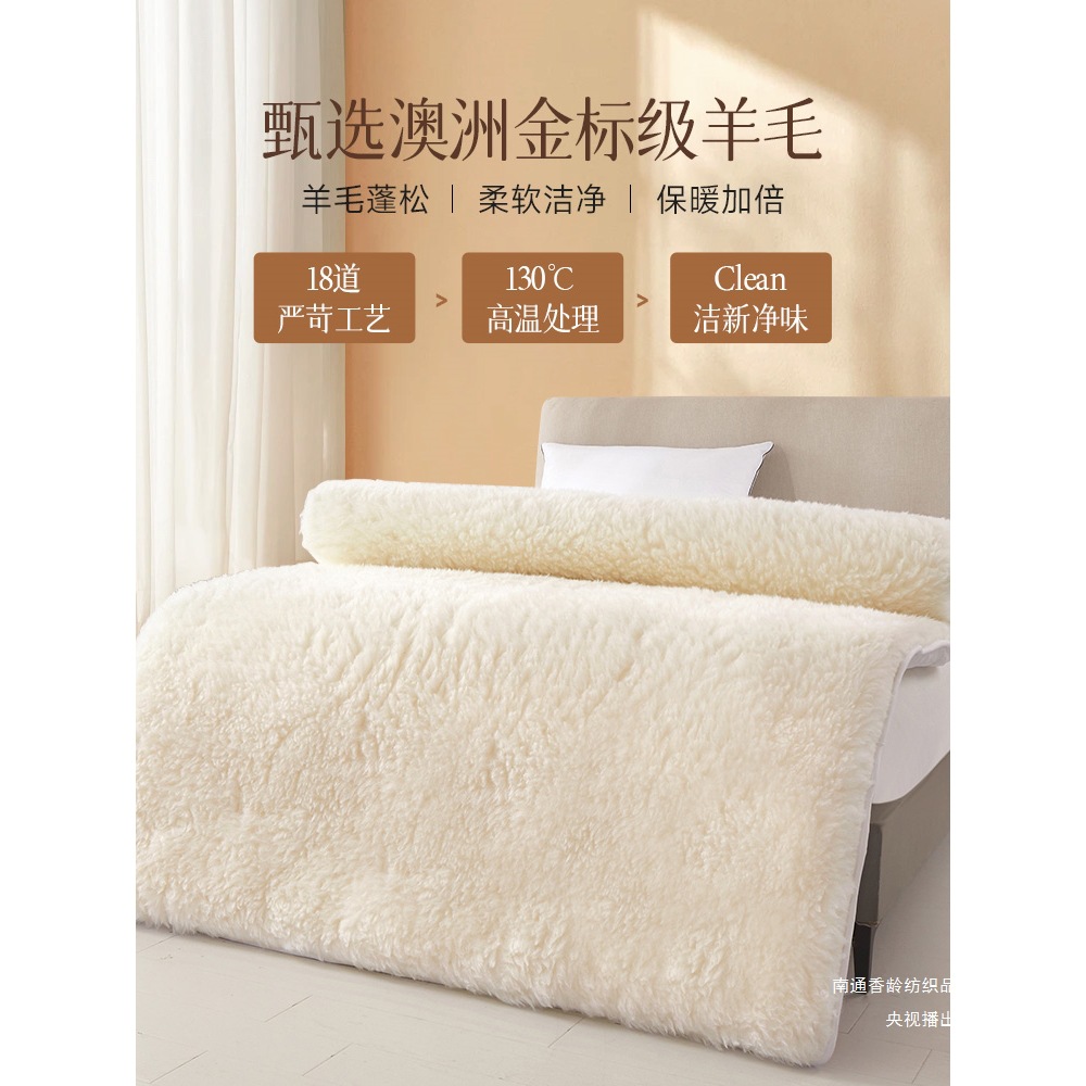Wool Mattress Pad for Home Use, Winter Lamb Fleece Blanket, Thickened Warm Pad for Winter Bedding