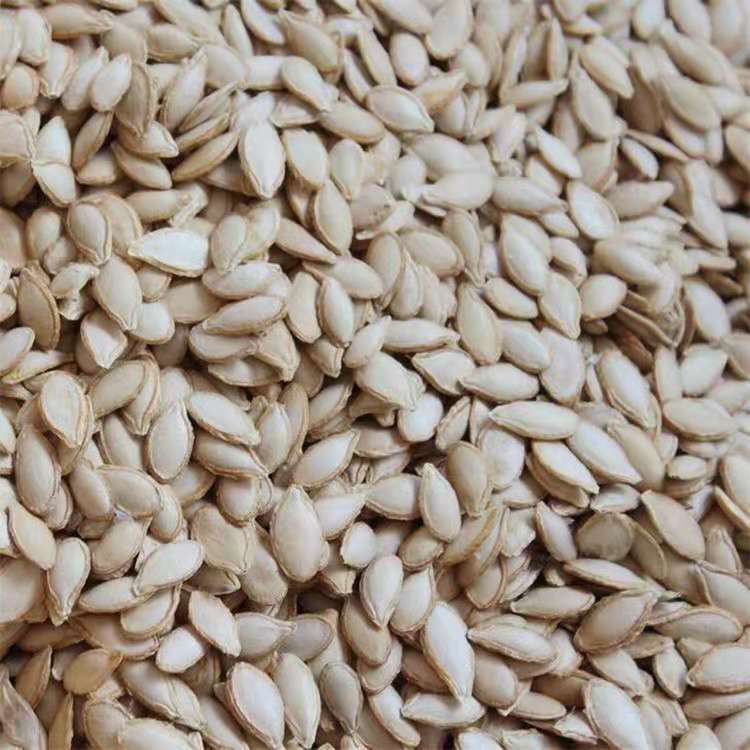 Manufacturers wholesale a large number of pumpkin seeds original flavor pepper and salt bulk pumpkin seeds baking Nuts Raw materials 500g per generation