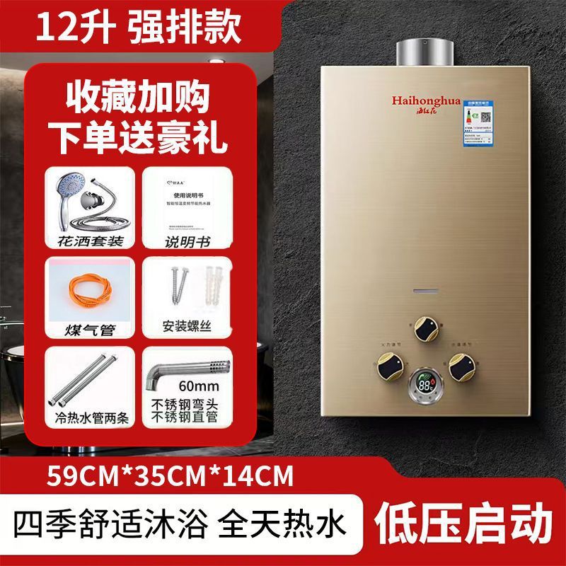 Gas Water Heater for Home Bathroom Rental Room Constant Temperature Gas Water Heater Forced Exhaust Natural Gas Battery Liquefied Gas