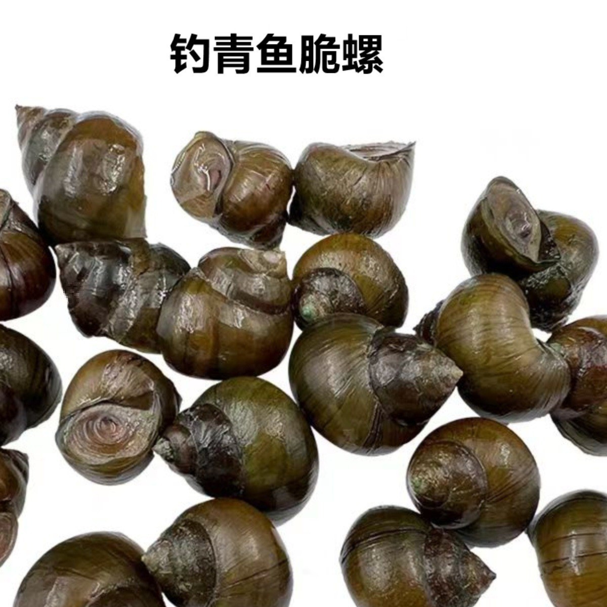 Sf Express Free Shipping Crispy Snail Bait for Black Carp, Live Snails, Black Carp Bait, Black Carp Bait, Black Carp Bait, Stone Snails