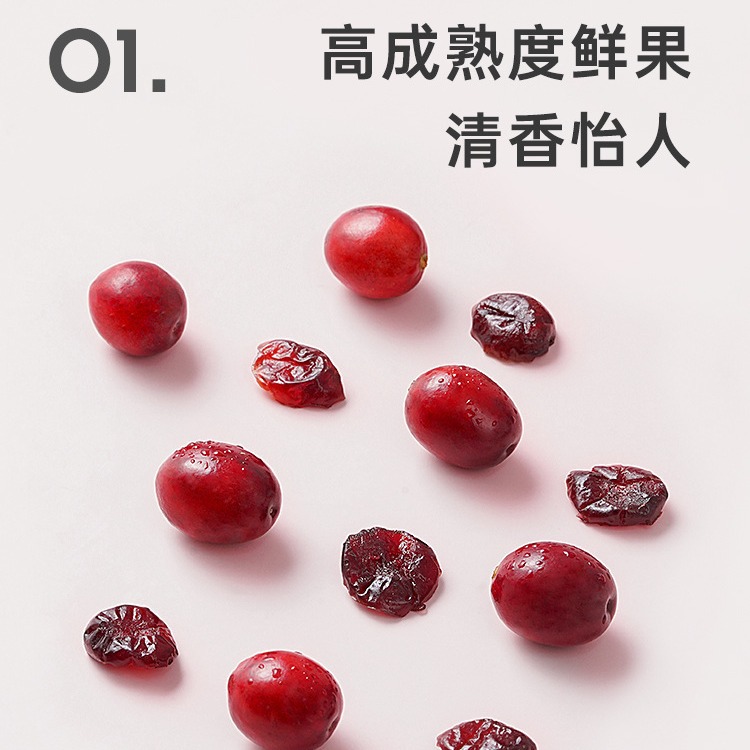 Exhibition art dried cranberry 100g small cookies snowflake crisp nougat snacks dried fruit baking raw materials