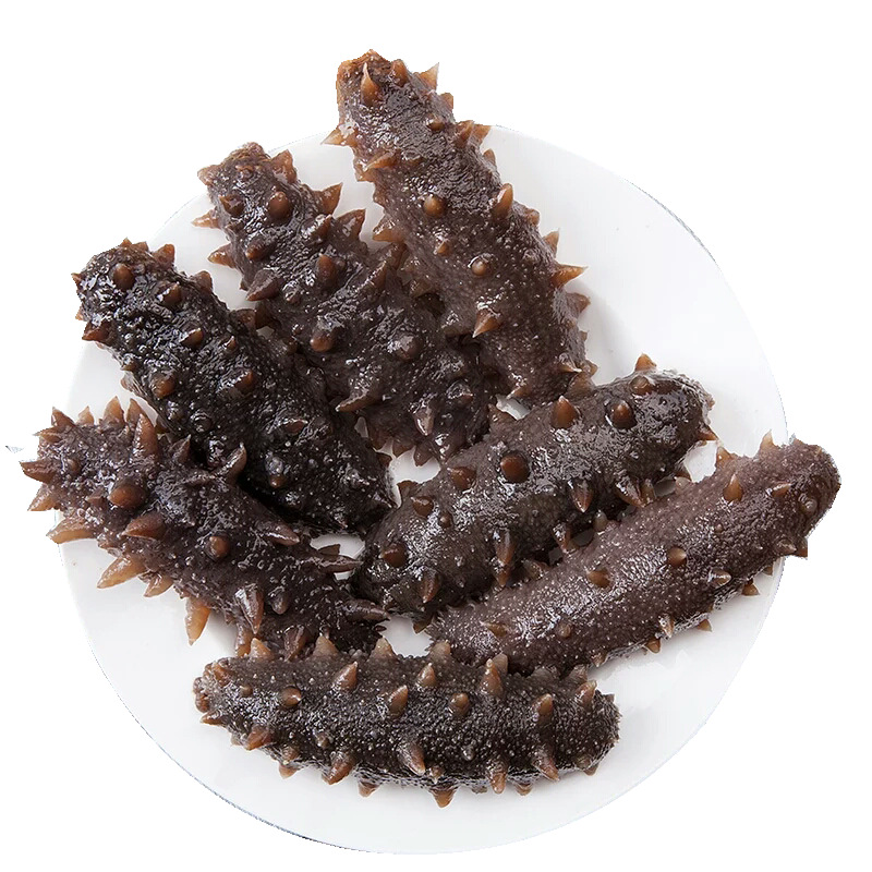 Ready-To-Eat Sea Cucumber Dalian Frozen Liaoshan Sea Cucumber 500g Non-Dry Goods Vacuum Packaging Sealed Bag Fresh Aquatic Products Wholesale Wild