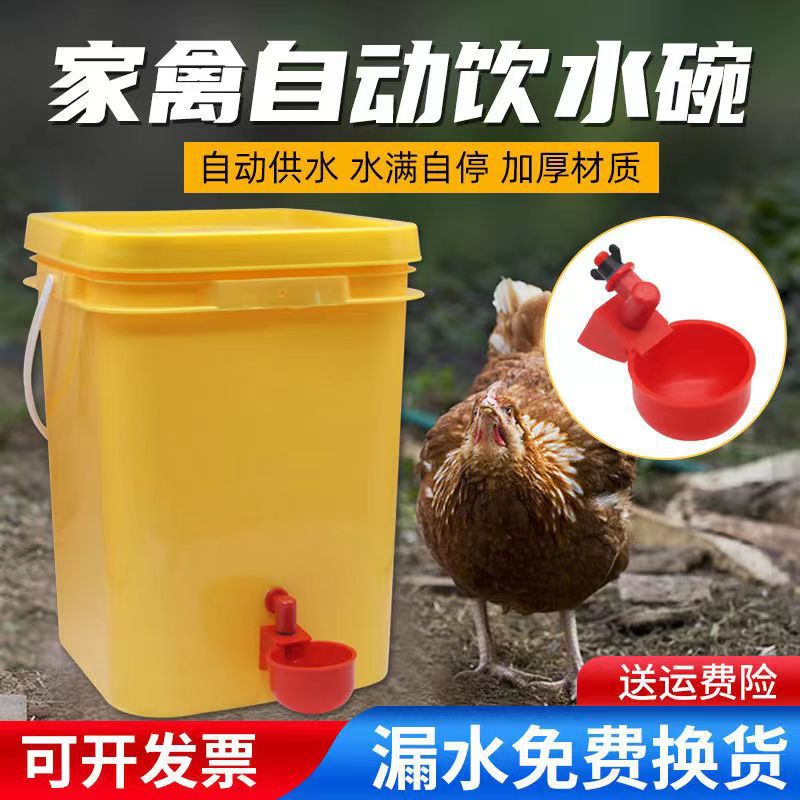 Automatic Water Bowl for Chickens, Ducks and Geese, Chicken Breeding Equipment, Pigeon Water Bowl, Bird Water Dispenser, Quail Chicken Water Tank