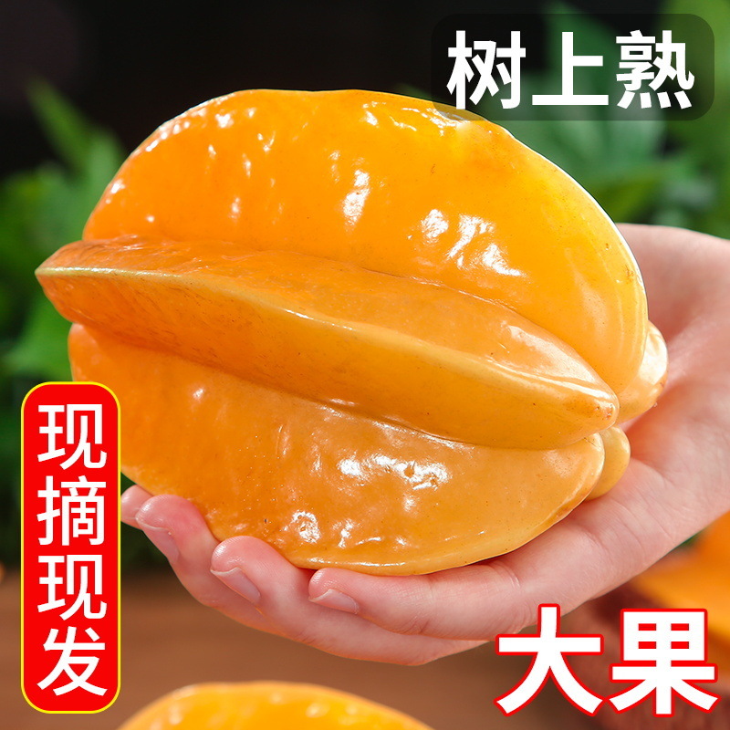 Сладкий карамбола, свежий оптовый фрукт, сезонный фрукт, оптовая продажа