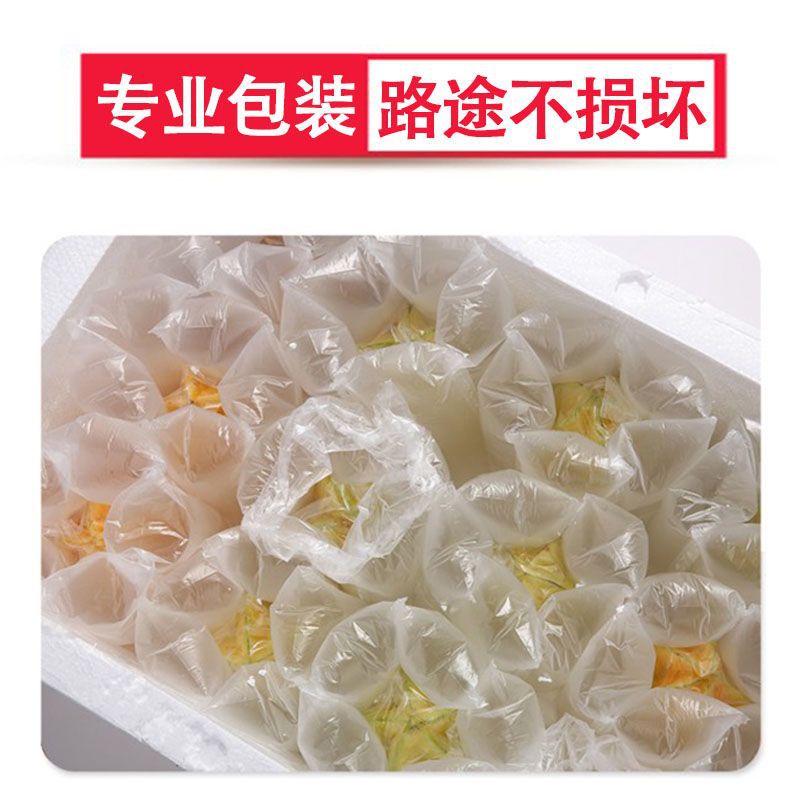Fresh Seasonal Star Fruit 2/3/5/ 5kg Fujian Xiehe Freshly Picked Sweet Star Fruit Whole Box Wholesale Free Shipping Factory
