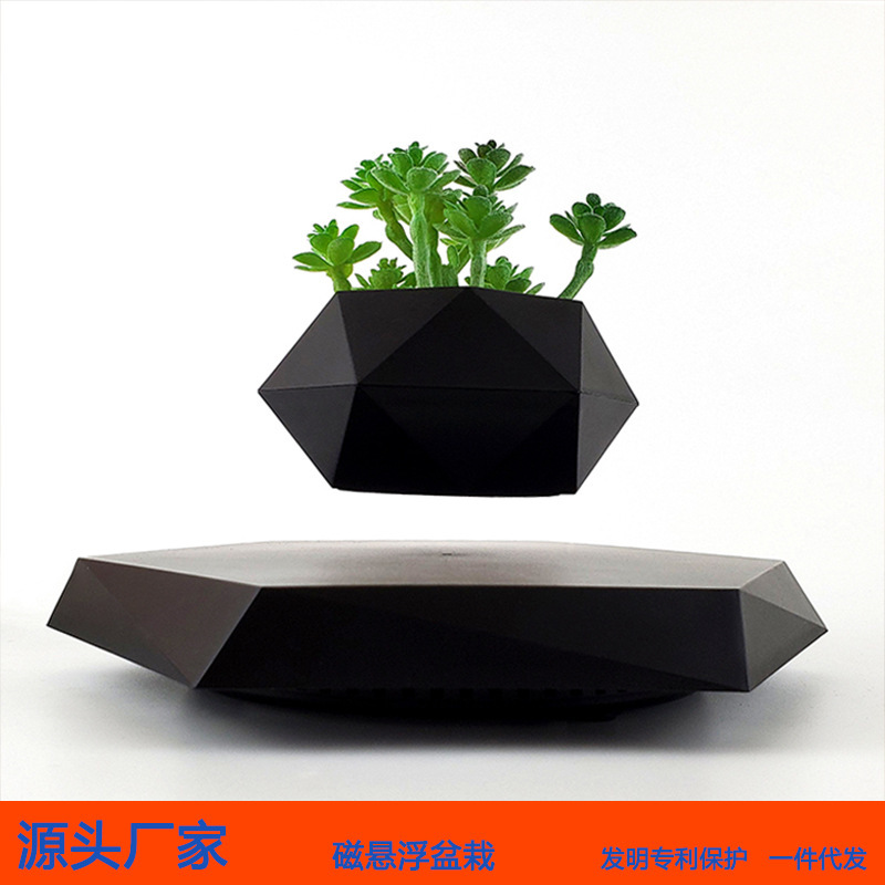 Magnetic Levitation Bonsai, Creative Aerial Plants and Flowers, Unique Style, Home Office Decorations, Cross-Border Green Plants