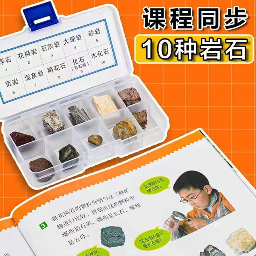 Fourth grade Science Volume 2 primary school student mineral rock specimen box student rock specimen 10 grid mineral