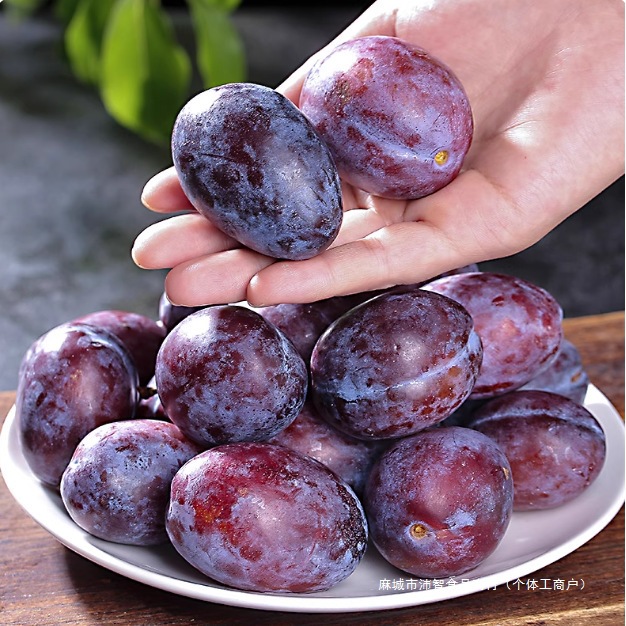French Gift Box Xinjiang Plums Free Shipping Kashgar Prunes Fresh Fruit Pregnant Women Prunes Fresh Fruit Second Grade Sweet Others