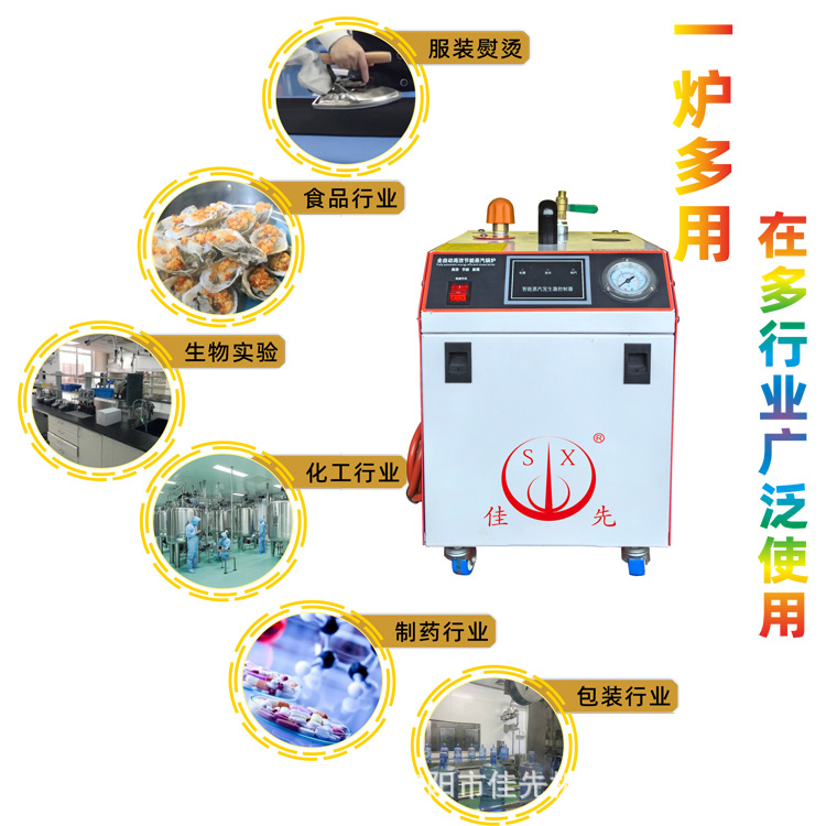 Electric Boiler Jiaxian Fully Automatic Steam Machine Small Boiler Commercial Fast Heating Durable Portable Steam Iron