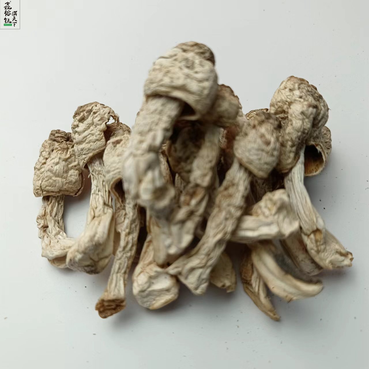Xinrongyu factory wholesale chicken leg mushroom whole self-produced and self-sold Dry Goods Direct Supply